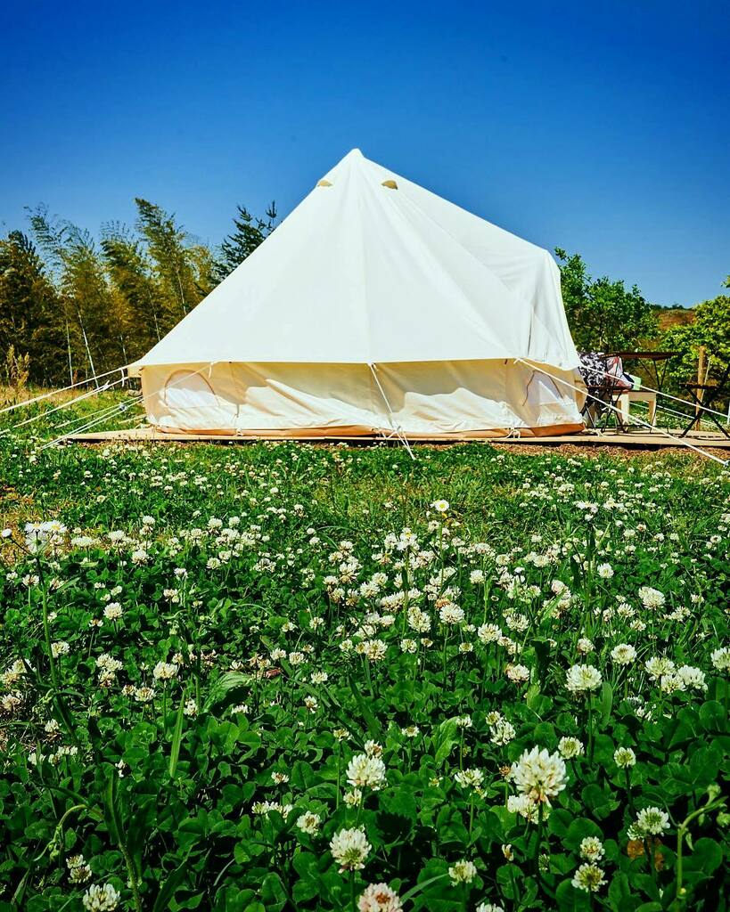 nishikura's tweet photo. #camp in #chiba at #pgfcamp https://t.co/iCSKr1gHPR https://t.co/DZLs9ehIIV