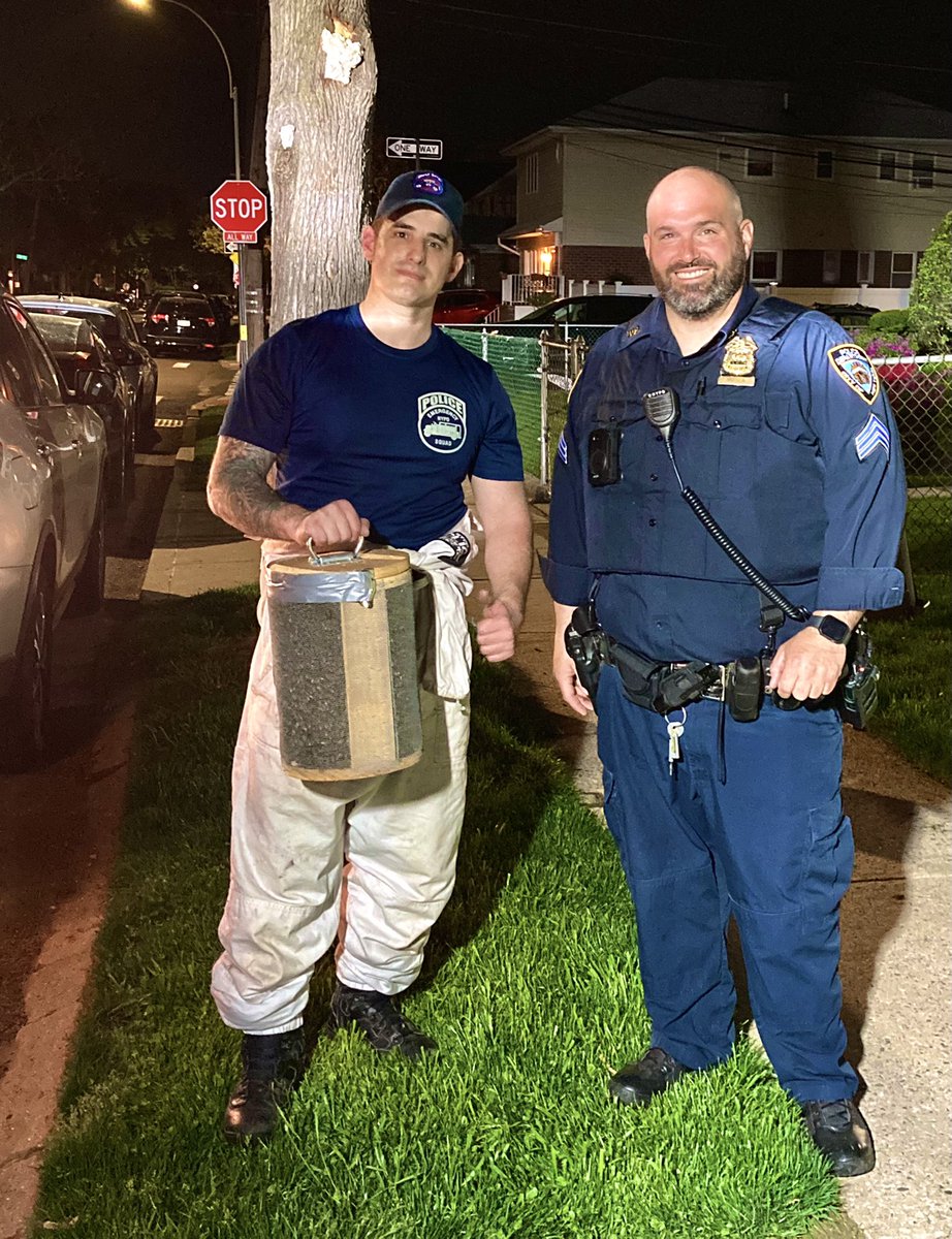 NYPD Bees tweet media