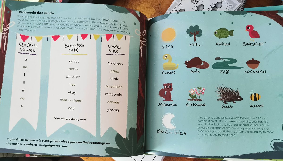 MaryHilpert's tweet photo. Thanks to @GSandsGamble for introducing this beautiful book  #itsamitig to us! Absolutely love the illustrations. The author Bridget George did a fantastic job, my class enjoyed your storybook and learning Ojibwe in the process❤️ https://t.co/HKx7sQraot