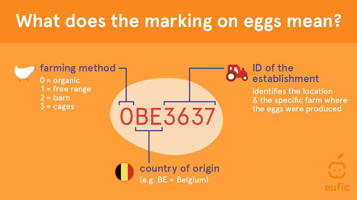 European Food Information Council (EUFIC) tweet media