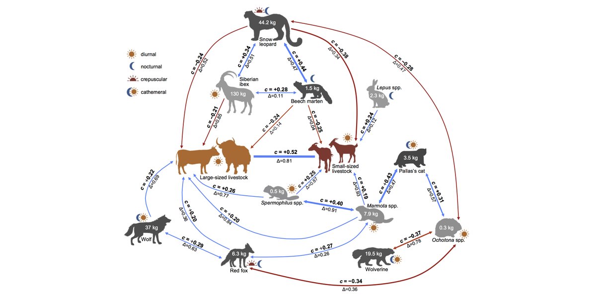 ESAApplications's tweet photo. New &amp; #OpenAccess in @ESAApplications:

Effects of free-ranging livestock on occurrence and inter-specific interactions of a mammalian community

https://t.co/DaiR6xQCln

With #OpenData in @figshare 

#MongolianAltai
#LivestockHusbandry
#OccupancyModeling https://t.co/ggoqwlMbmc