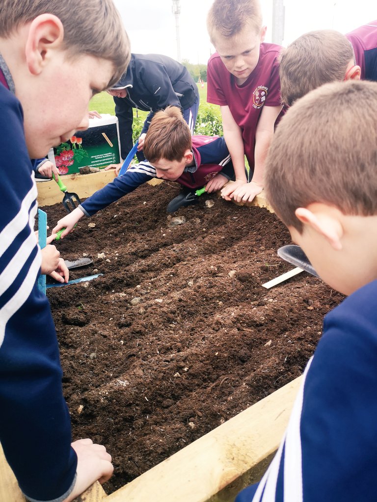 scoil_an's tweet photo. Stone age farming techniques combined with maths!
3rd class are sowing wheat seeds 7cm apart and 1cm deep. Independent teamwork got the job done.
History, geography, science, maths, teamwork and responsibility all in one lesson. 
#outdoorlearning #outdoorlearningireland https://t.co/PTEJFkj6Ha