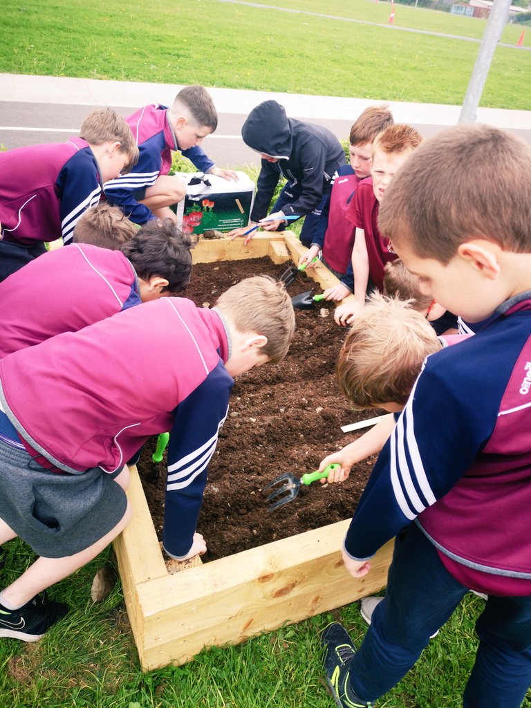 scoil_an's tweet photo. Stone age farming techniques combined with maths!
3rd class are sowing wheat seeds 7cm apart and 1cm deep. Independent teamwork got the job done.
History, geography, science, maths, teamwork and responsibility all in one lesson. 
#outdoorlearning #outdoorlearningireland https://t.co/PTEJFkj6Ha