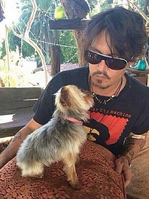 celluloidmaven's tweet photo. Guys, #IStandWithBoo!
Amber continuing to disparage sweet Boo! A teacup Yorkie cannot make human sized "fun"!
😡
#JusticeForJohnnyDepp
#IStandWithJohnnyDepp
#JohnnyDeppVsAmberHeard https://t.co/ttwEYE792H