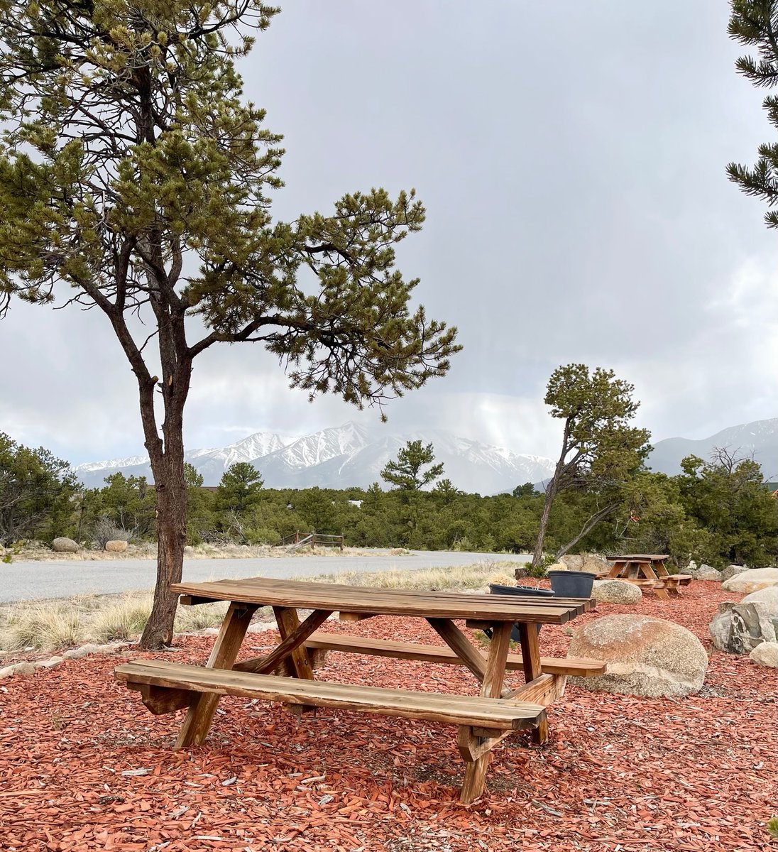 kodirafting's tweet photo. Happy Love a Tree Day! 
This beautiful picnic area at our Buena Vista Outpost gives our guests a lovely place to enjoy the trees, the view of the regal Collegiate Peaks, and the wide open space is a guest favorite!
#KodiRafting #picnicspot #loveatreeday #CollegiatePeaks https://t.co/nCrmQekq0w
