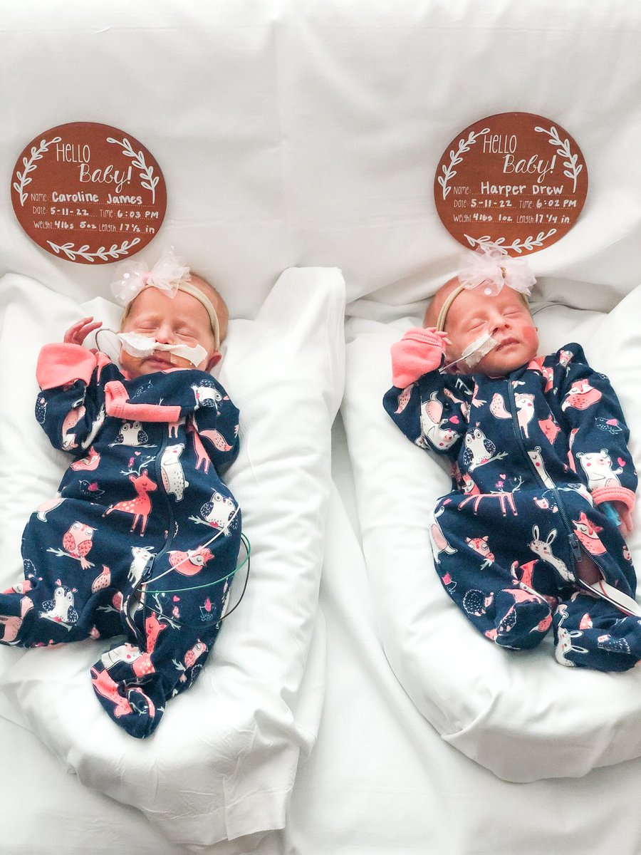 Ashley Quinones tweet media