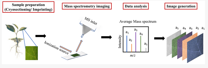 Plants_MDPI's tweet photo. #Plants_mdpi

@AkhilaAjith22 @SARCUoM Interested in the chemical mapping of plant tissues? Check out the newest review article, “Mass Spectrometry Imaging for Spatial Chemical Profiling of Vegetative Parts of Plants” 

https://t.co/ZgUIOmp039 https://t.co/mO5A46gIHd