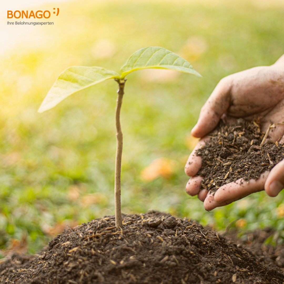 bonago's tweet photo. Heute ist der #IchMagBäumeTag! Passend zum Anlass kann über unseren neuen Akzeptanzpartner die Anpflanzung von Bäumen mit Hilfe von Consumer Promotion Kampagnen umgesetzt werden. 

Lassen Sie uns gemeinsam etwas bewirken!

#BONAGO #ConsumerPromotion #Marketing #Kampagnen https://t.co/IhEtJJlLwT