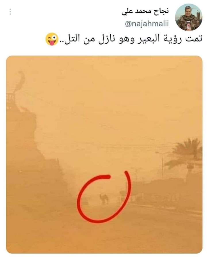 كاظم على tweet media