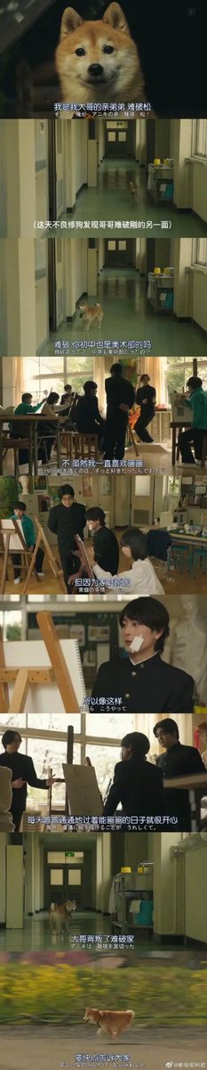 《难破MG5》真的好好看，本来以为是跟《我是大哥大》一样的题材，但它热血中又带着点兄弟情，最强不良却渴望拥有平凡的青春高中哈哈哈哈，每集出场的配角也都很有意思，有一幕是小柴犬难破松 因为发现一直崇拜的大哥瞒着家里人当乖学生学画画，打算跟老爸他们告状结果没人听，太失望就离家出走了hhhhh https://t.co/RHxh7HXShc