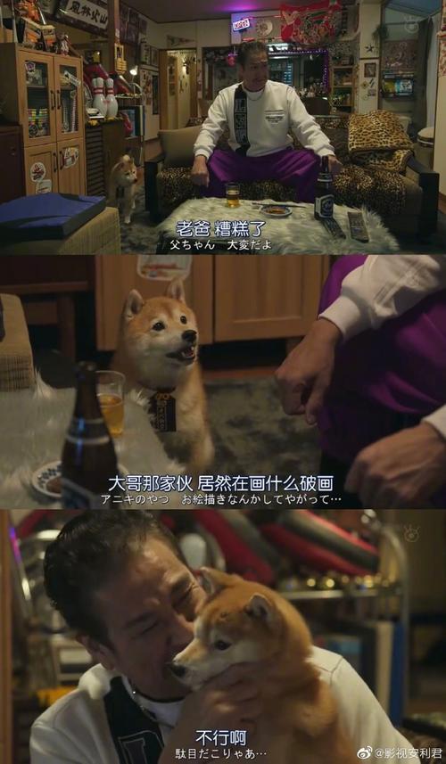 《难破MG5》真的好好看，本来以为是跟《我是大哥大》一样的题材，但它热血中又带着点兄弟情，最强不良却渴望拥有平凡的青春高中哈哈哈哈，每集出场的配角也都很有意思，有一幕是小柴犬难破松 因为发现一直崇拜的大哥瞒着家里人当乖学生学画画，打算跟老爸他们告状结果没人听，太失望就离家出走了hhhhh https://t.co/RHxh7HXShc