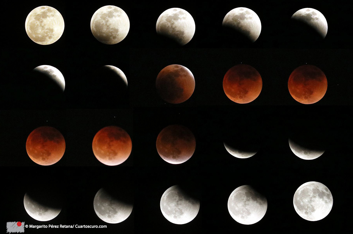 CuartoscuroMex's tweet photo. #LaDiaria Así se apreció ayer el eclipse lunar que tiñó al satélite de sangre 🌔
© Margarito Pérez Retana, Omar Martínez, Andrea Murcia y Daniel Augusto/ https://t.co/CFaz4MXWVU https://t.co/xrl52SGpTC