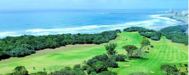 John Collier Golf tweet media