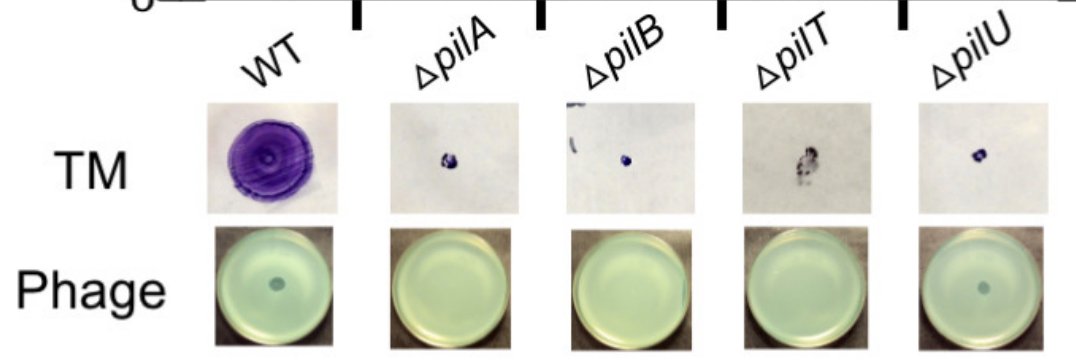 George O'Toole (he/him/his) tweet media
