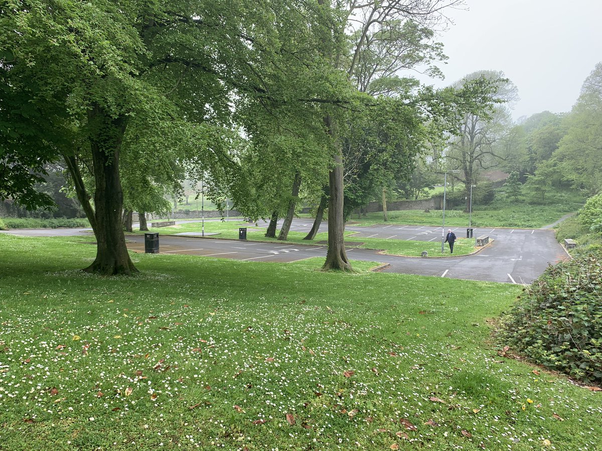 portaferrytrees's tweet photo. Ropewalk Car Park Portaferry Conservation Area where they want to saw down big old trees for extra parking places. Monday 16.5.22 at 14.03 EMPTY - apart from a man &amp; his dog! #stopthechop https://t.co/k23s5807wY