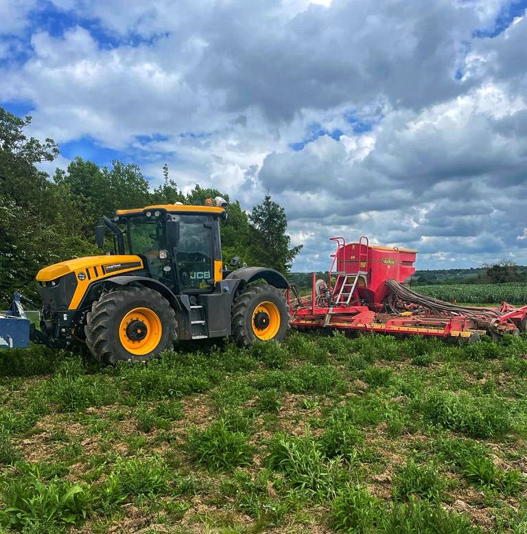 Drilling wild bird seed stewardship plots🪶