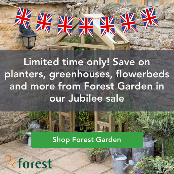 TimberworldUK tweet picture
