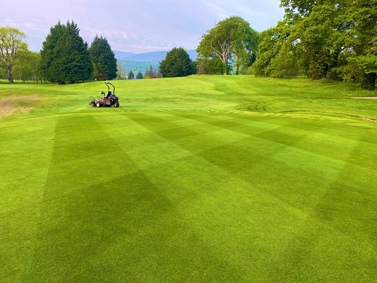 mattpurcell35's tweet photo. Nice little cocktail , really happy how the greens are turning out, well done to the team always willing to try &amp; learn new stuff, 👍, @WarrenpointGC @PlantFoodCo @TurfCare_IRL_UK @JonnyMTurfcare1 @T2GBentgrass https://t.co/bhzCID9WQf