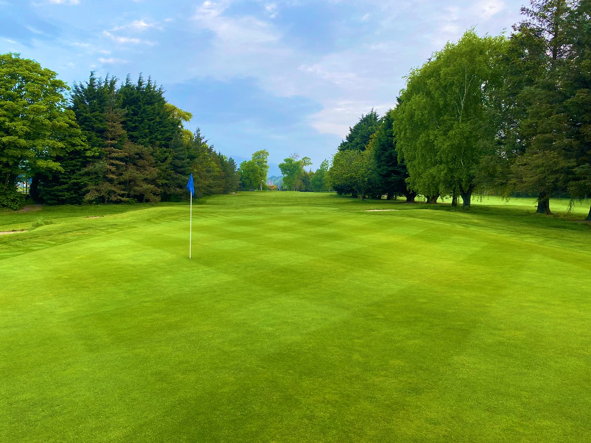 mattpurcell35's tweet photo. Nice little cocktail , really happy how the greens are turning out, well done to the team always willing to try &amp; learn new stuff, 👍, @WarrenpointGC @PlantFoodCo @TurfCare_IRL_UK @JonnyMTurfcare1 @T2GBentgrass https://t.co/bhzCID9WQf