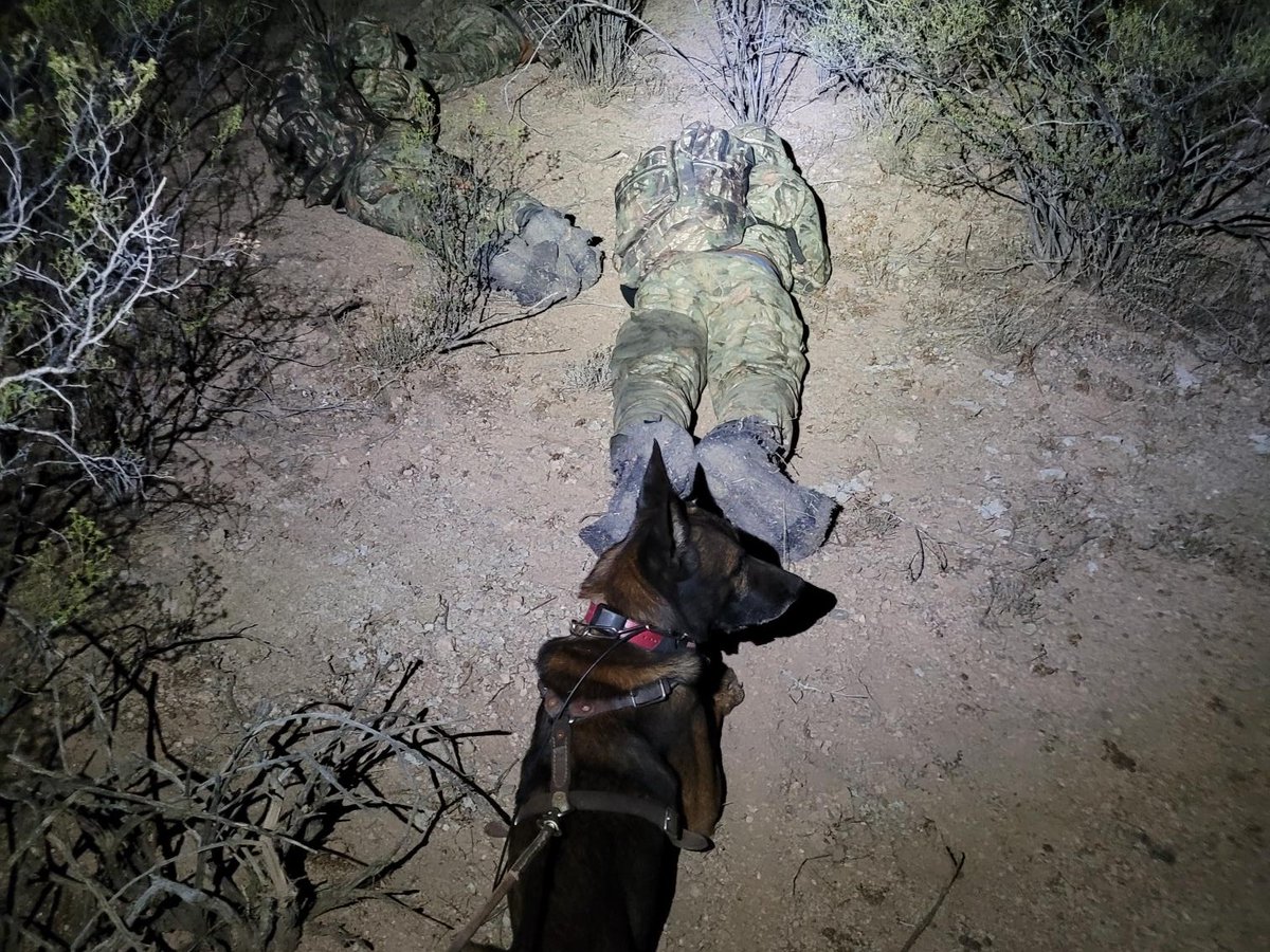 Chief Patrol Agent - Tucson Sector tweet media