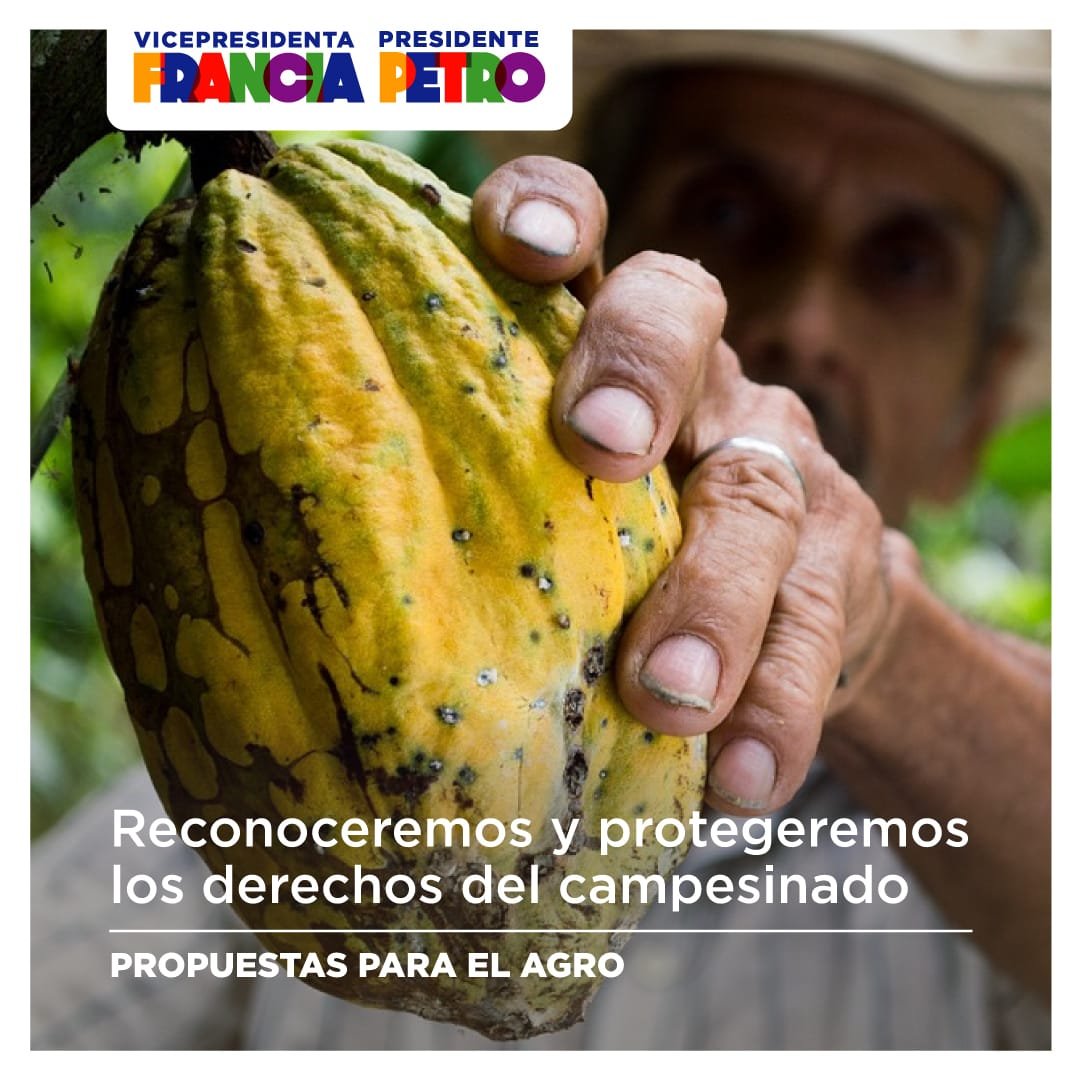 BecerraGabo's tweet photo. 🧵#PresidentePetro | Abro hilo con las propuestas para el agro en el gobierno de @petrogustavo y de @FranciaMarquezM. 

 👨‍🌾 (1/10).Reconoceremos y protegeremos los derechos del campesinado https://t.co/WjNEf67mFH