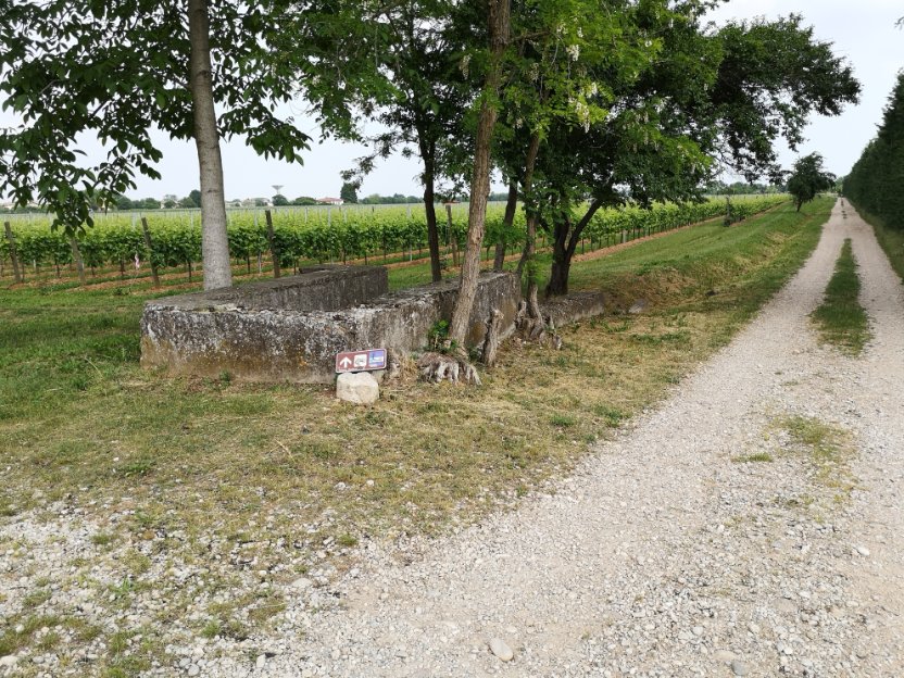Percorsi cicloturistici in campagna. Segni di abbandono. #abitanti #cicloturisti #campagna >> barubici.blogspot.com/2022/05/segni-…