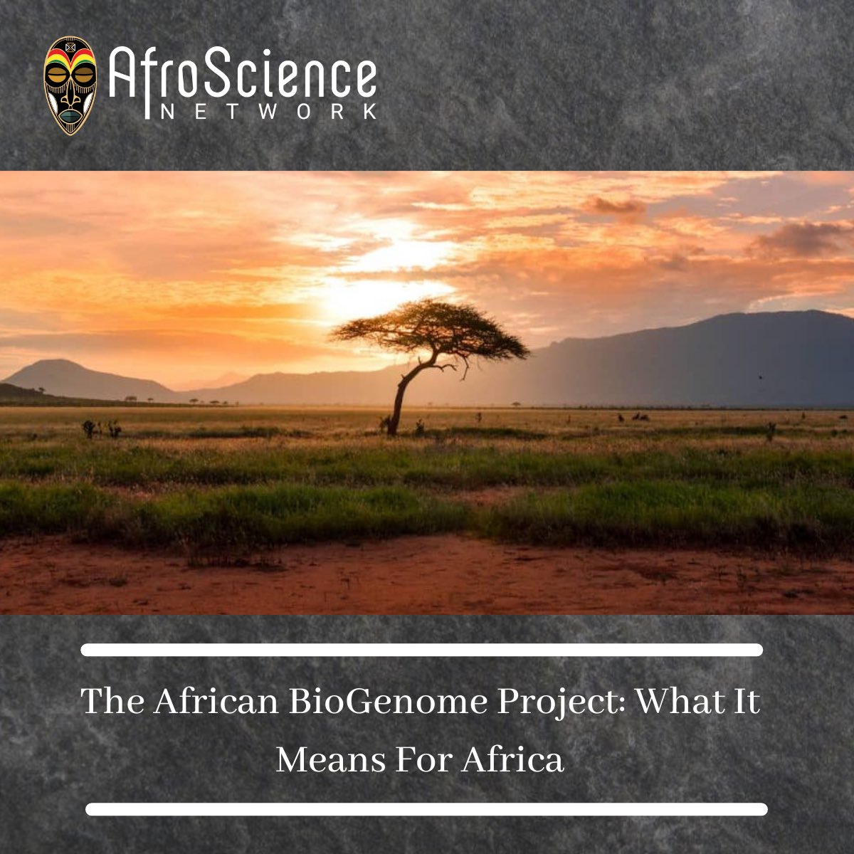 Afroscience1's tweet photo. Africa has always been underrepresented in global genomic sequencing projects. The famous human genome project that cost over $3 billion only had 2% representation from Africa... Learn More

https://t.co/Dz9Z58bZtg

#africa #afroscience #science #biogenome https://t.co/yzxNcjz7fh