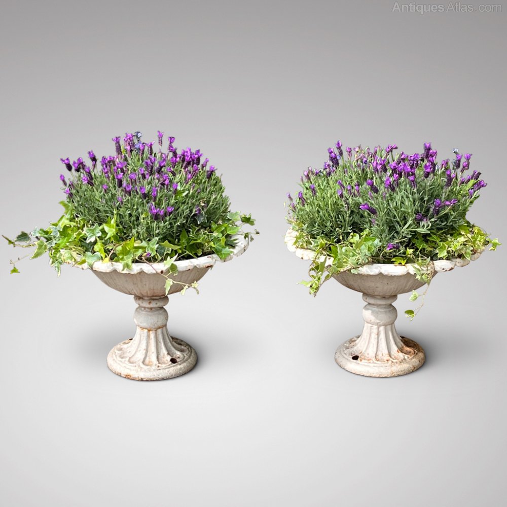 antiques_atlas's tweet photo. Pair of Victorian Cast Iron Tazza Garden Urns

Click link for details
https://t.co/kB1CKhKmCb

@hobsonmay https://t.co/D2VZ9F2t1J