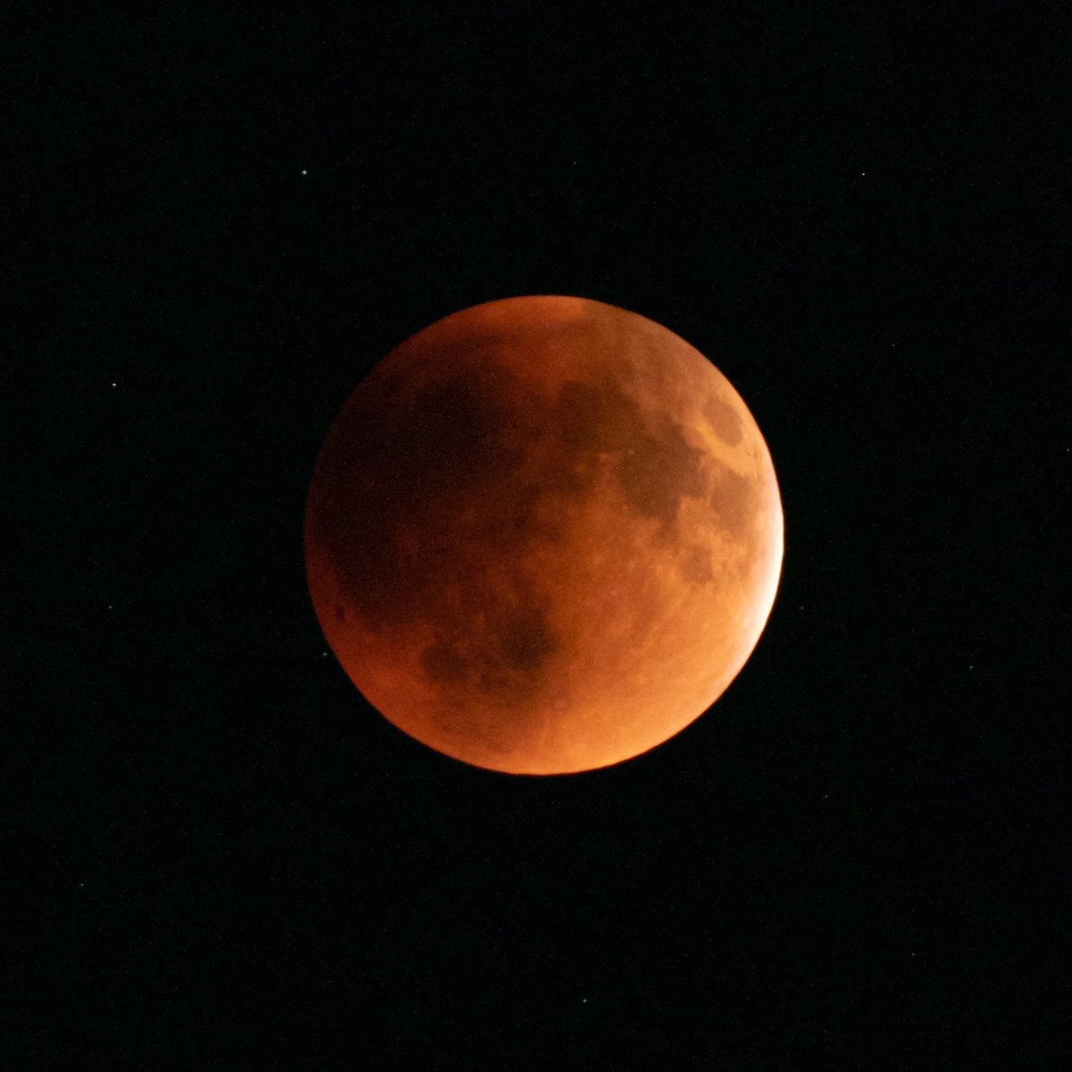 esa_es's tweet photo. Hoy en #cielosESA ...

@OriolFernandezB nos envía estas bonitas imágenes del #EclipseLunar 

¡Muchas gracias @OriolFernandezB por tus fotos!

Etiqueta tus 📸📸 con #cielosESA https://t.co/1X21NrC4Ma