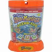 mrjeffys's tweet photo. Remember these guys?? Well Happy National Sea Monkey Day! #seamonkeyday #Believe #WhatsHappening #Today https://t.co/TcoQXIGgEX