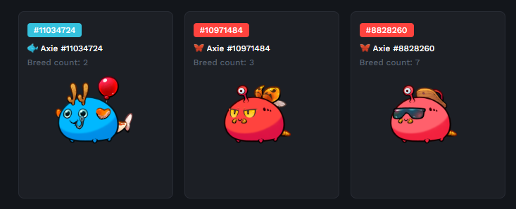 Nxrry1975's tweet photo. Anyone interested for an axie scholarship? 
     @ArgonautsGuild  is looking for experienced scholar who can play this team + 60 Energy. 

    DM me for instruction.  

#AxieInfinity #AxieScholarships 
#AxieScholarship https://t.co/akkG5K7e9D