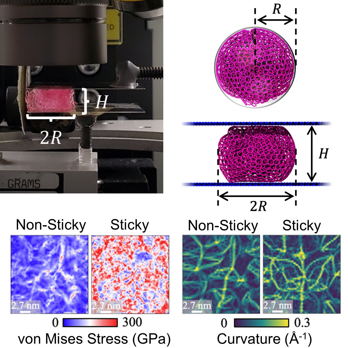 Wooo! Super excited to see this work come out in <a href="/Matter_CP/">Matter_CP</a> !  Check out "Sticky Crumpled Matter", and see how important surfaces are in crumpling.  Awesome collab with <a href="/WenJXia/">Wenjie Xia</a> and crew.
sciencedirect.com/science/articl…