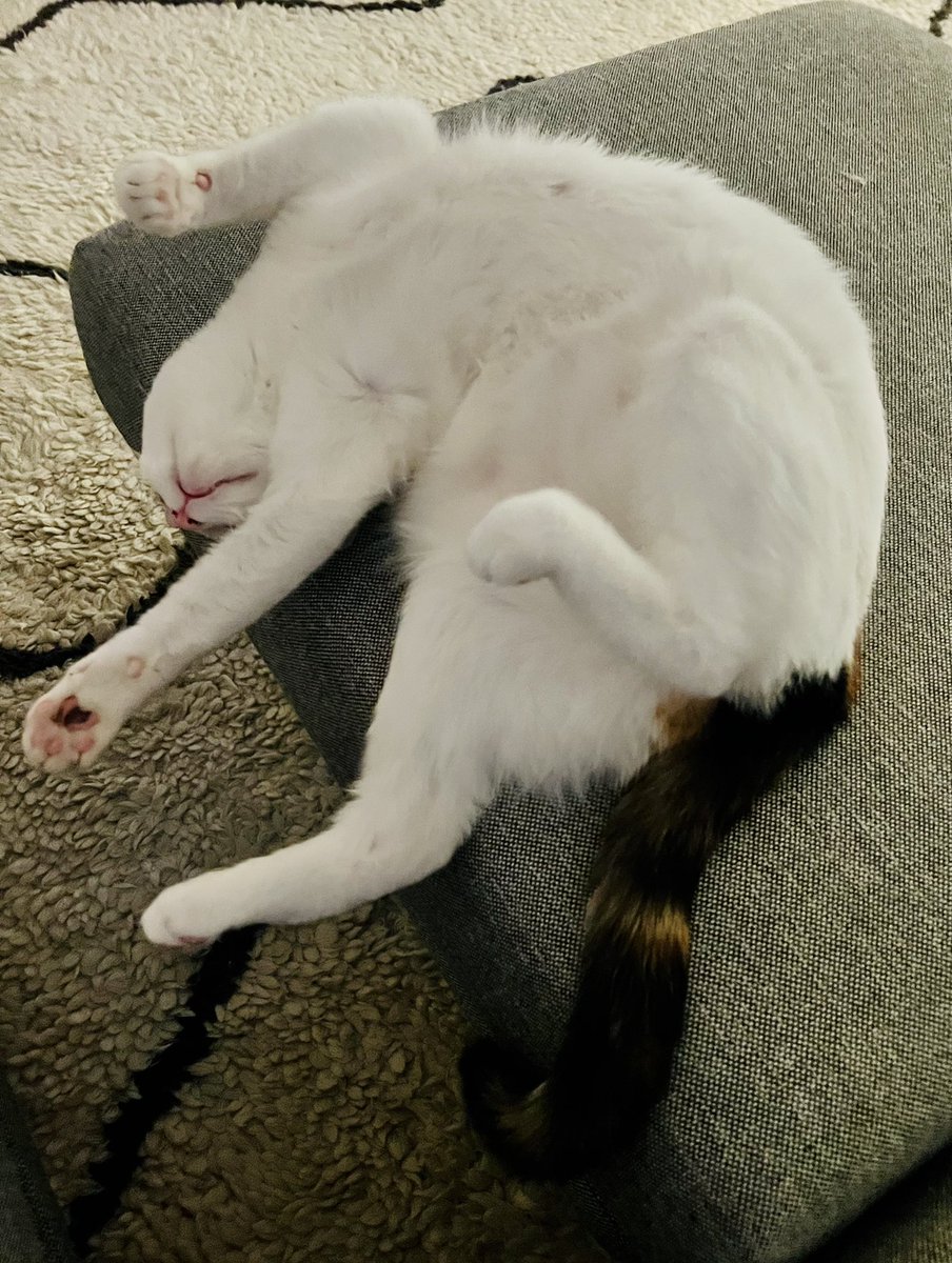 Emily Womack (she/her) tweet media