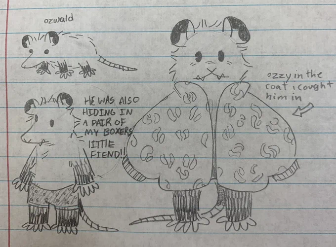 He likes: tortilla chips, cheddar biscuits, smelling my hands and shoes
Dislikes: STAYING OUTSIDE APPARENTLY!!!
Drew ozwald (ozwald has been chosen for his name cause all my friends have accepted this as his name) 