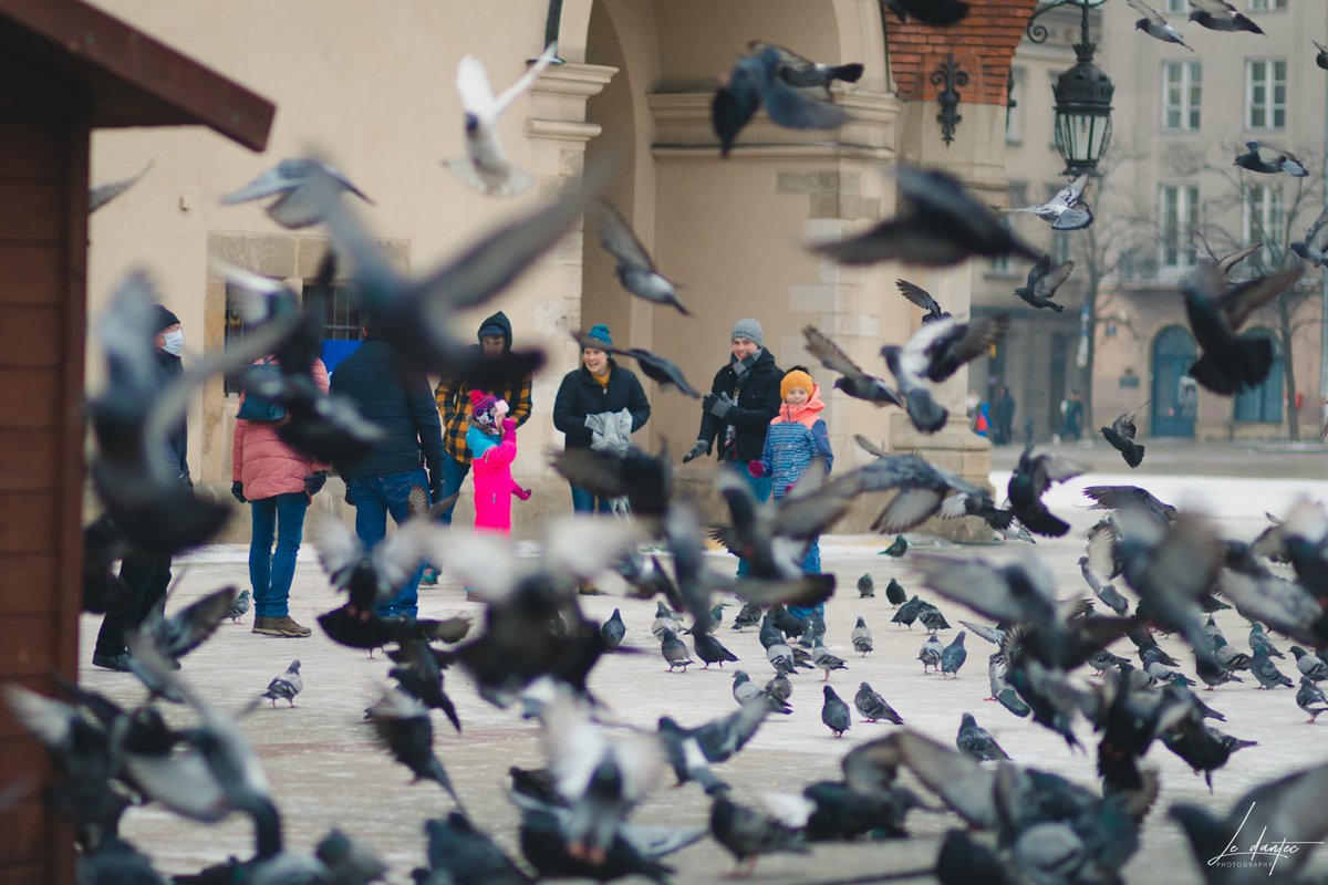 bryanledantec's tweet photo. Some #streetphotography in #travel in #Poland https://t.co/TvBkd5XYd4