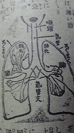 ろくまく 