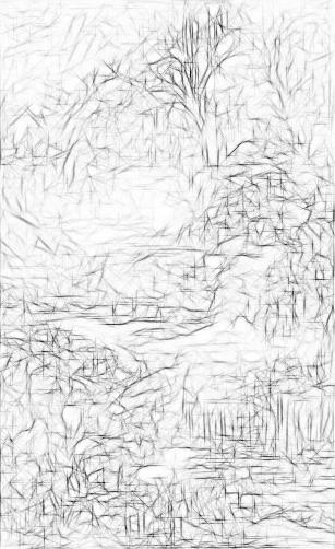 ‼️ Imagey Art ( Flower Boom ) ‼️