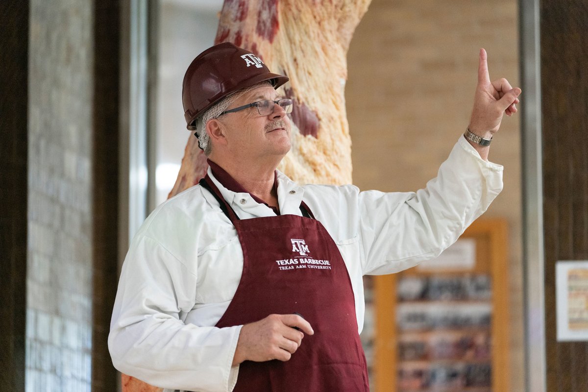 TAMU's tweet photo. Texas A&amp;M is BBQ University!

From our Meat Science program to Camp Brisket, #TAMU celebrates the history and science of Texas BBQ — and continues its legacy through research, education, &amp; smoking meat! #NationalBBQDay

@AgriLife: https://t.co/SK23QkRtHt https://t.co/yGZSENRChb