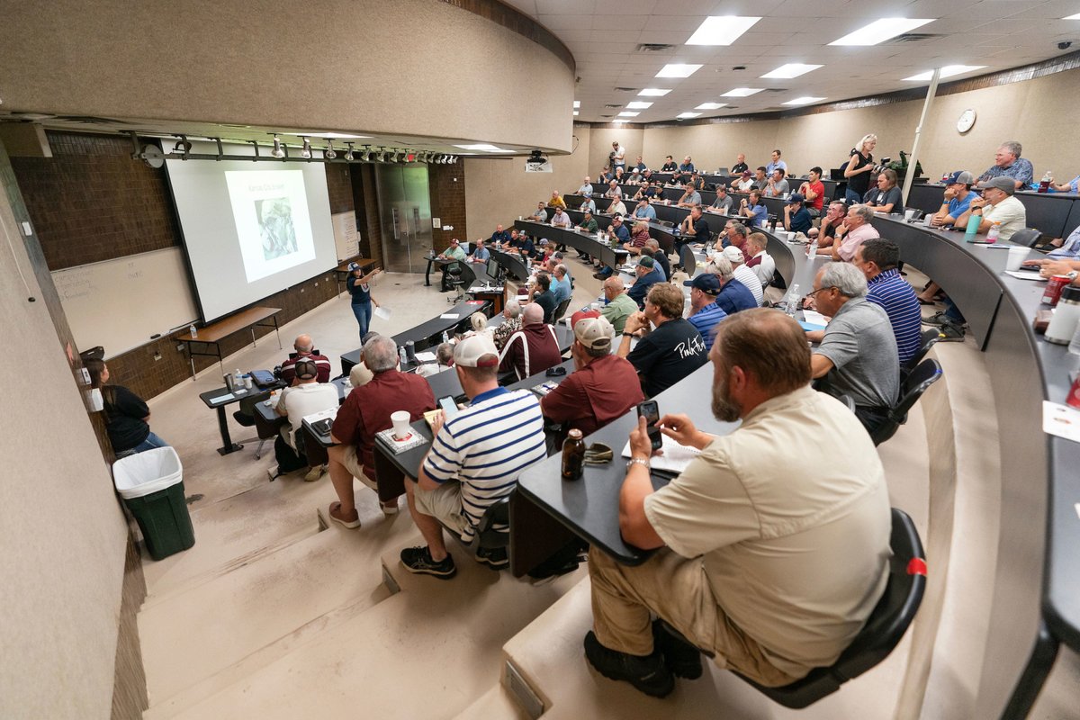 TAMU's tweet photo. Texas A&amp;M is BBQ University!

From our Meat Science program to Camp Brisket, #TAMU celebrates the history and science of Texas BBQ — and continues its legacy through research, education, &amp; smoking meat! #NationalBBQDay

@AgriLife: https://t.co/SK23QkRtHt https://t.co/yGZSENRChb