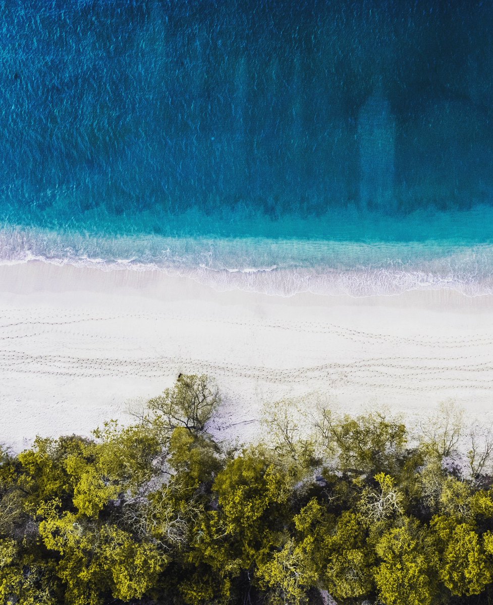 _raularias_'s tweet photo. "Existen lugares imborrables. No acudo a ellos a sufrir. Acudo a ellos con la nostalgia y mis recuerdos más preciados."

- David Sant

#playaconchal #guanacaste #cabovelas #reservaconchal #costarica #costaricaphotographer #landscapes #landscapephotographer #landscapephotography https://t.co/rhimmAf5xm