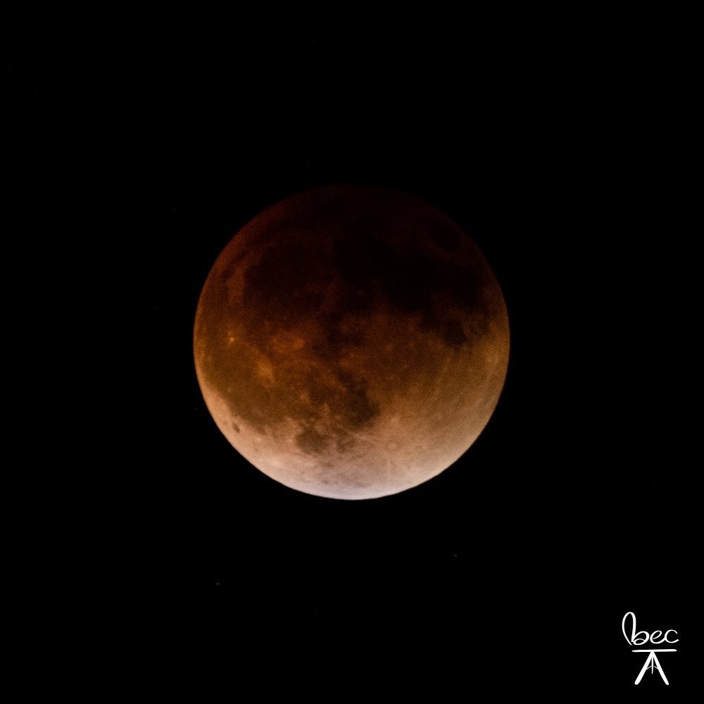 MiniMenace875's tweet photo. #lunareclipse2022 https://t.co/KCLXjLUW8J