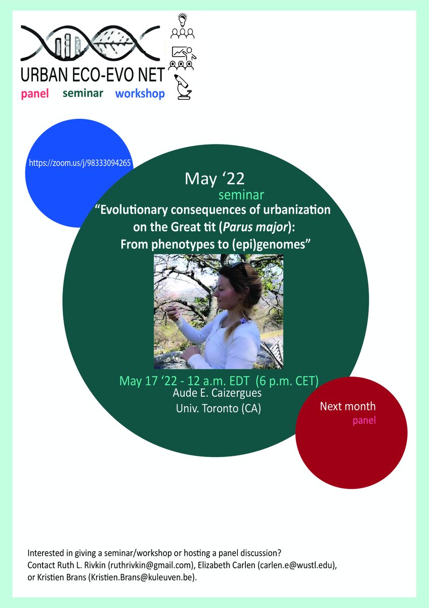 Join the RCN urban eco-evo network tomorrow for their seminar and workshop series! This month @CaizerguesAude will talk about her work on evolution and epigenetics in urban great tits! @ma003 @E_Carlen @ruth_rivkin (zoom link via dm available)