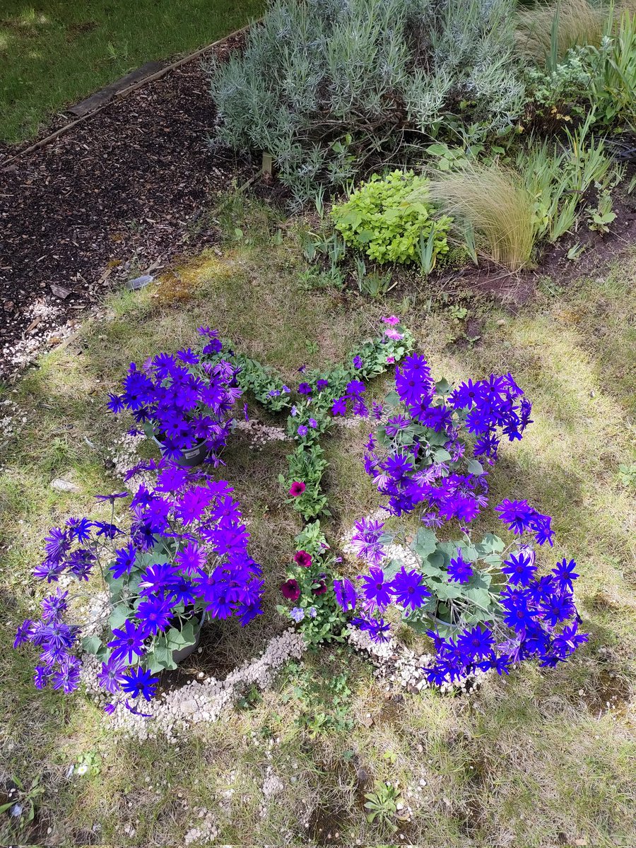 <a href="/HealthPsychGHFT/">Health Psychology@gloshospitals</a> are happy to be supporting Dementia Action Week. Check out our purple butterfly planted up outside Beacon House <a href="/Asma_PYA/">💙 Admiral Nurse Asma BEM💙</a> <a href="/nursesteve82/">Steve S-K</a>