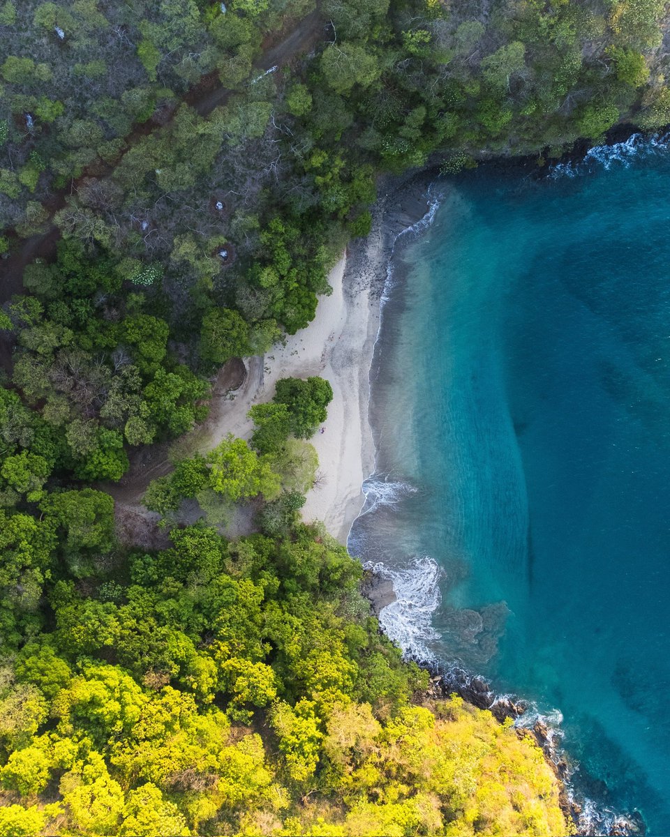 _raularias_'s tweet photo. "Siempre estoy haciendo lo que no puedo hacer para poder aprender cómo hacerlo"

- Pablo Picasso 

#playacalzondepobre #hermosa #guanacaste #costarica #photooftheday #photography #photographer #dronephotography #beach #landscapes #landscapephotography #quote #pablopicasso https://t.co/bT4vFarJIp