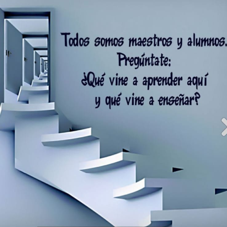 darrietad's tweet photo. https://t.co/WNeuoN2WZN