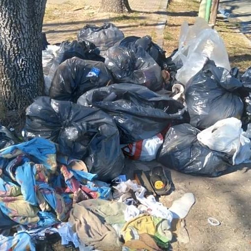 SinLimitesLP's tweet photo. #LosHornos | Quejas de vecinos por los desechos que deja cada domingo una verduleria de la zona de 62 y 140. https://t.co/yIDPSDNXs7