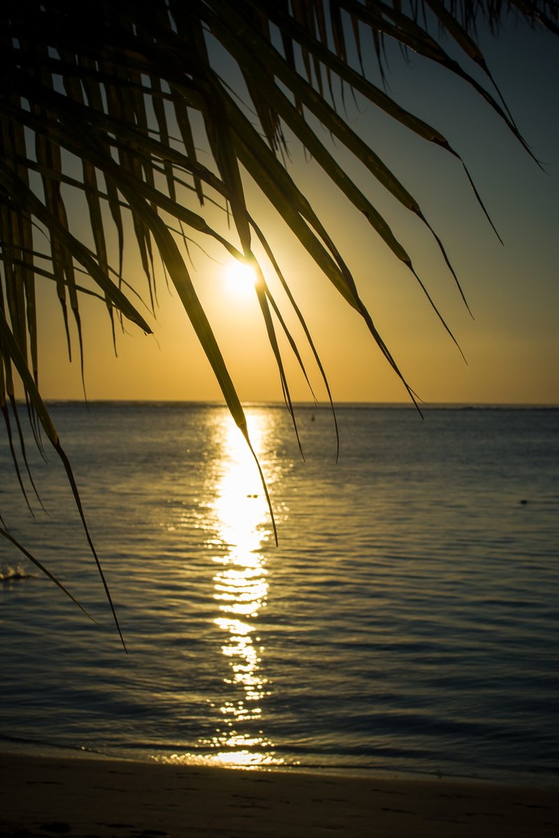 LUX* Resorts & Hotels (@luxresorts) on Twitter photo Un #hôtel à #Maurice mais pas n'importe lequel ! Niché au pied de la majestueuse montagne du Morne, face au lagon, <a href="/LUXLeMorne/">LUX* Le Morne</a> est l'endroit rêvé pour admirer les plus beaux couchers de soleil.
luxresorts.com/fr/maurice/hot…
#hôtelàmaurice #luxresorts #vacances #IleMaurice Un #hôtel à #Maurice mais pas n'importe lequel ! Niché au pied de la majestueuse montagne du Morne, face au lagon, <a href="/LUXLeMorne/">LUX* Le Morne</a> est l'endroit rêvé pour admirer les plus beaux couchers de soleil.
luxresorts.com/fr/maurice/hot…
#hôtelàmaurice #luxresorts #vacances #IleMaurice