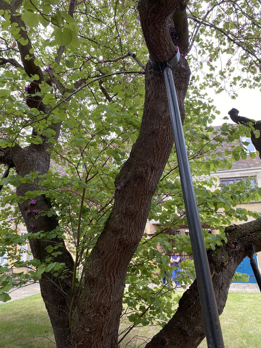 Thank you to everyone who joined us yesterday @GroundworkKL for the Artistic Forager walk and talk. It was such a wonderful afternoon, meeting so many creative souls and sharing thoughts through the simple act of observing. 
<a href="/NNFest/">Norfolk & Norwich Festival</a> 

#GWartisticforager #fieldwork #kingslynn