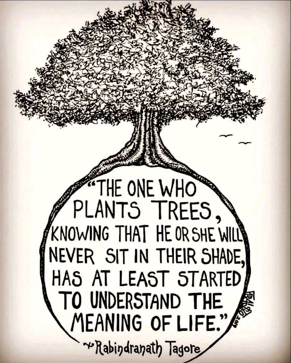 Love this quote.