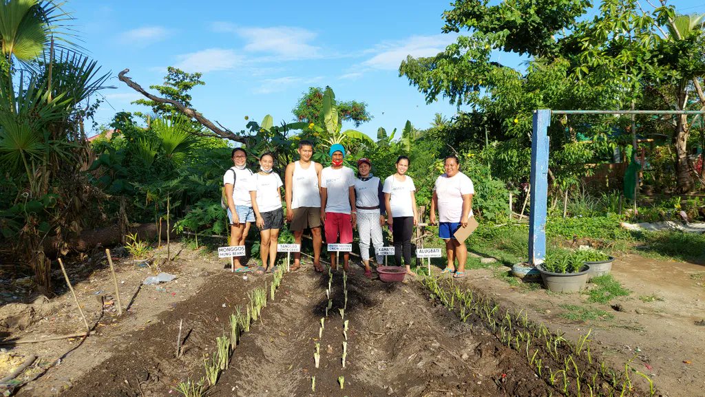 $BEACH Our team in the #Philippines hold regular lunchbox programs where they feed groups of children. They skilfully plant and grow vegetables and food which are then used to feed the children.  #DeFi #Crypto #NFTs #CleanOceans #ClimateAction #BlueCarbon #Metaverse #BeachCleanUp